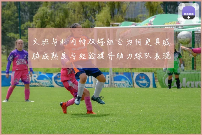 文班与科内特双塔组合为何更具威胁成熟度与经验提升助力球队表现